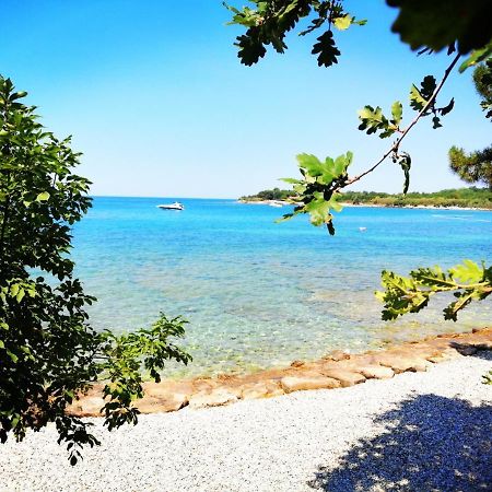 7 Palmi Novigrad Διαμέρισμα Novigrad Istria Εξωτερικό φωτογραφία