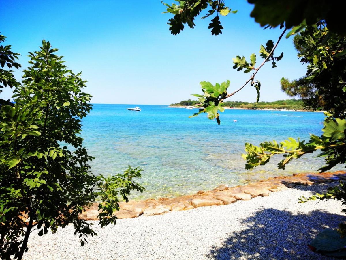 7 Palmi Novigrad Διαμέρισμα Novigrad Istria Εξωτερικό φωτογραφία